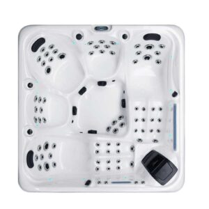 Devine SPAs Vision